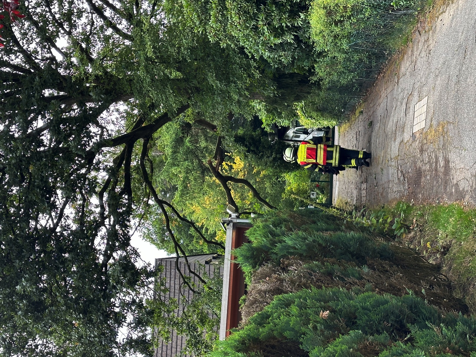 Hilfeleistung Hilfeleistung