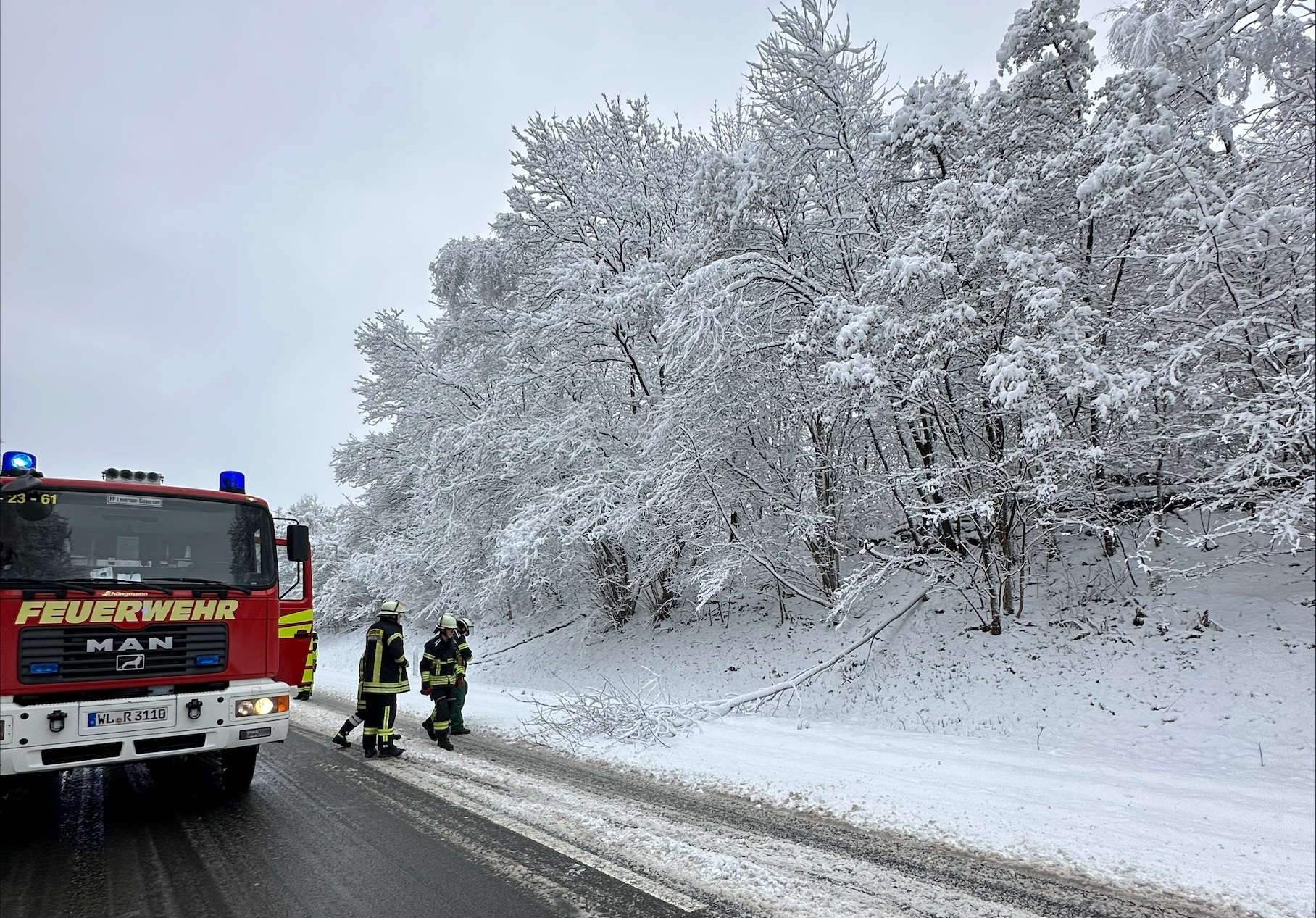 Einsatzfoto TH1 Baum auf Straße